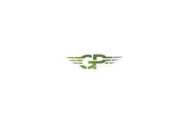 Green Palm Auto Electrical Repairs